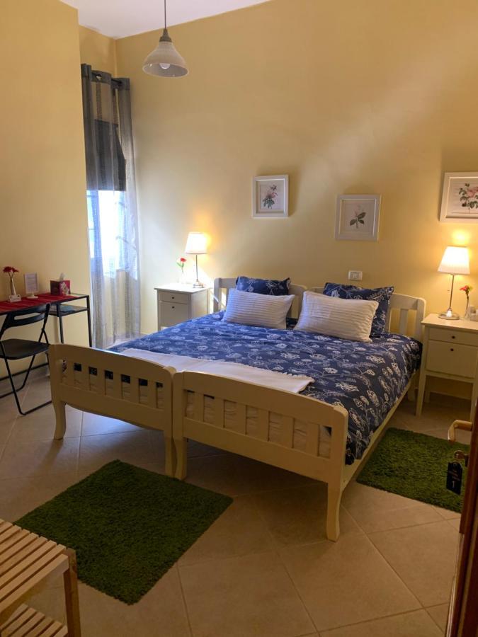 Stephen Center B&B Tirana Buitenkant foto